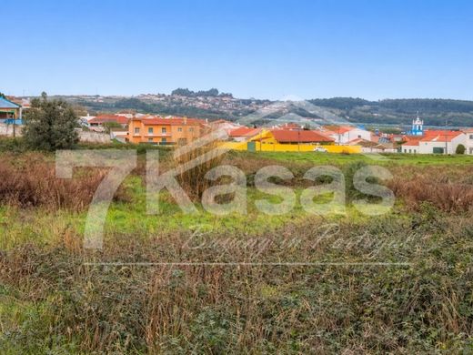 Terreno - Óbidos, Leiria