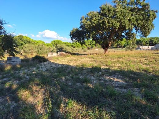 Terrain à Alcácer do Sal, Distrito de Setúbal