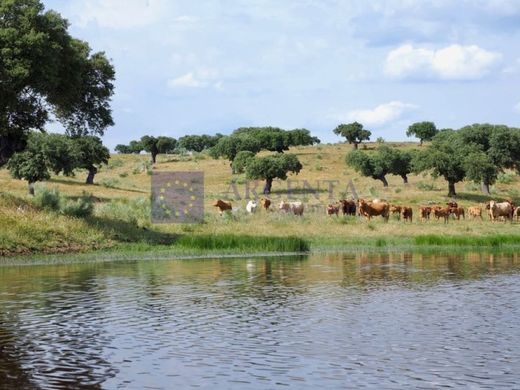 Ρουστίκ ή Αγροικίες σε Plasencia, Provincia de Cáceres