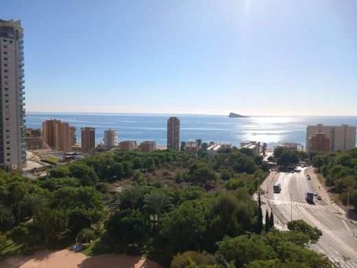 아파트 / Benidorm, Provincia de Alicante