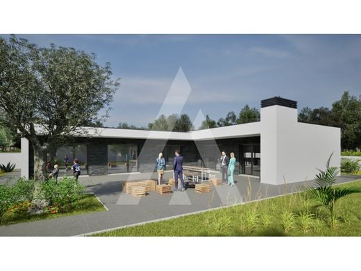 Luxe woning in Viseu, Distrito de Viseu