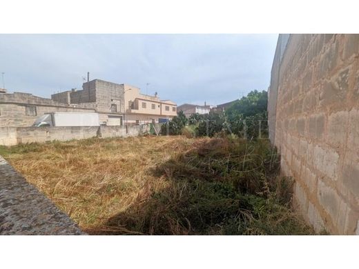 Land in Manacor, Province of Balearic Islands