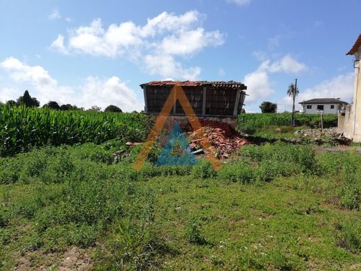 Grond in Santa Maria da Feira, Distrito de Aveiro