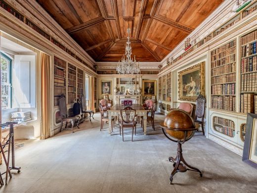 Mansion in Anadia, Aveiro