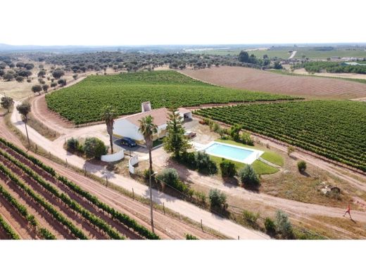 Terreno en Estremoz, Évora