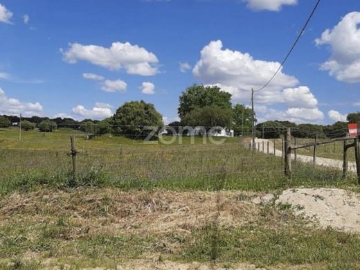 Αγροτεμάχιο σε Montemor-o-Novo, Montemor-O-Novo