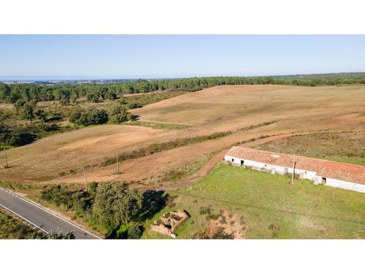 Arsa Aljezur, Distrito de Faro