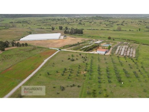 Rural ou fazenda - Idanha-a-Nova, Idanha-A-Nova