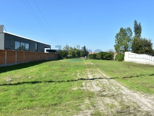 토지 / Benavente, Distrito de Santarém