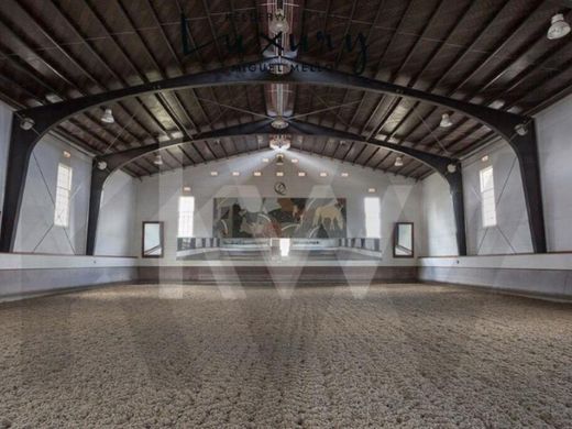 Maison de luxe à Sintra, Lisbonne