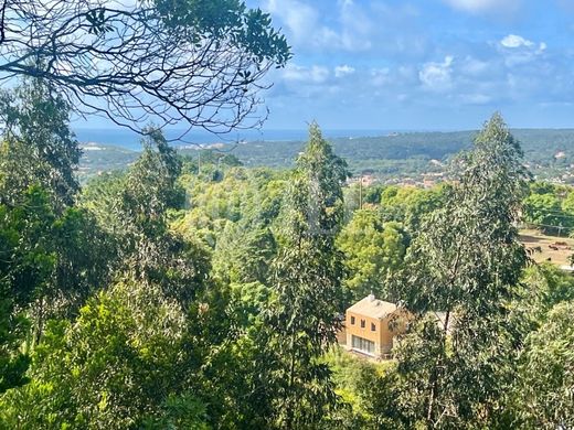 Luxury home in Sintra, Lisbon