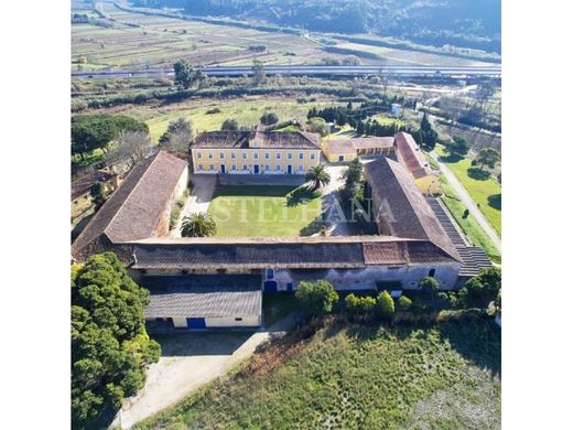 Farma w Nazaré, Distrito de Leiria