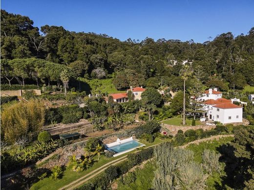 호화 저택 / Sintra, Distrito de Lisboa