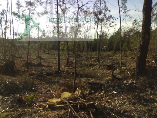 Terreno a Vila Nova de Gaia, Oporto