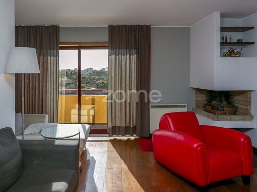 Daire Porto, Distrito do Porto