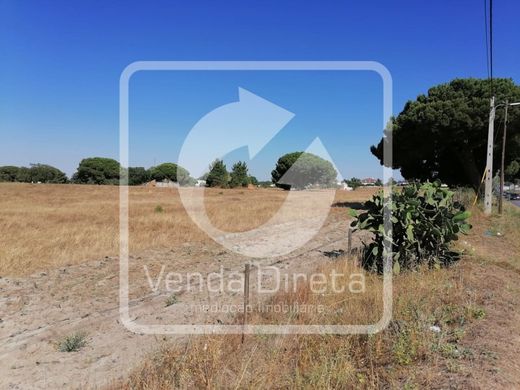 Land in Palmela, Distrito de Setúbal