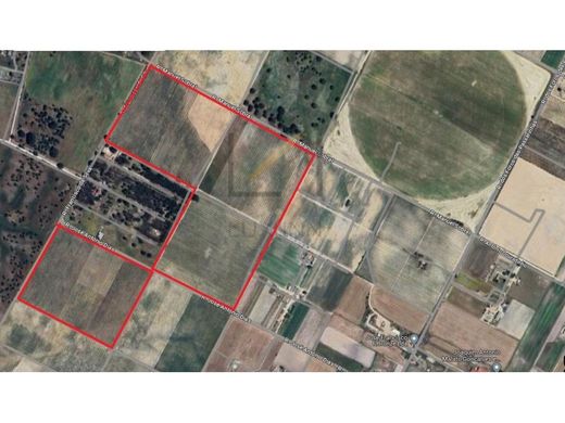 Αγροτεμάχιο σε Palmela, Distrito de Setúbal