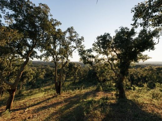 Land in Santiago do Cacém, Distrito de Setúbal