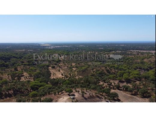 Terreno a Grândola, Distrito de Setúbal