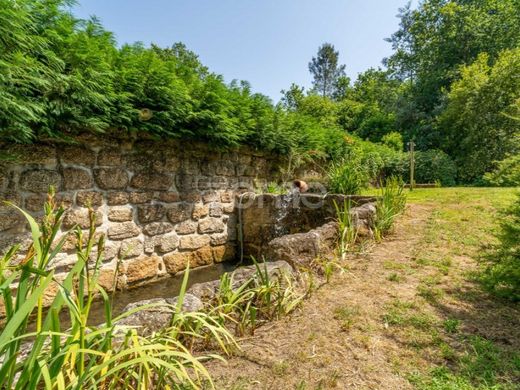 Santa Comba Dão, Distrito de Viseuの高級住宅