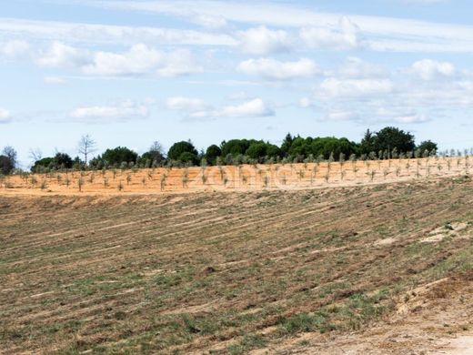 Fazenda - Seia, Guarda