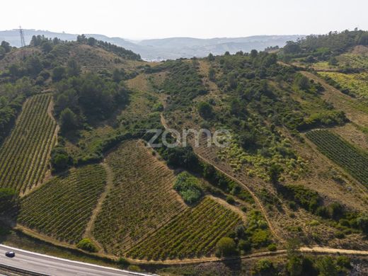Terreno a Torres Vedras, Lisbona