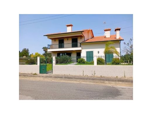 Πολυτελή κατοικία σε Águeda, Distrito de Aveiro