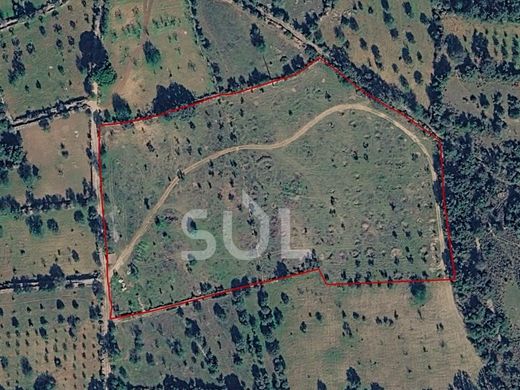 Teren w Faro, Distrito de Faro