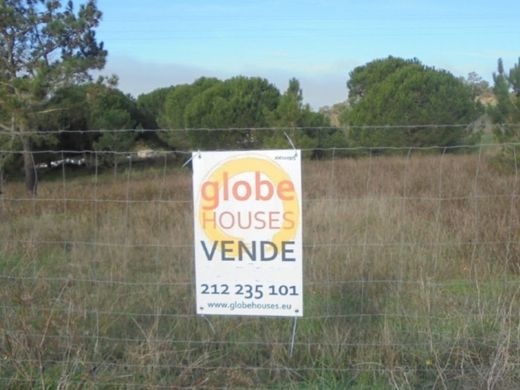 Участок, Сесимбра, Sesimbra