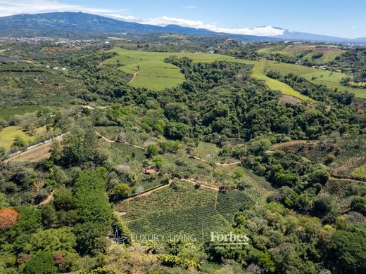 Усадьба / Сельский дом, Poás, Provincia de Alajuela