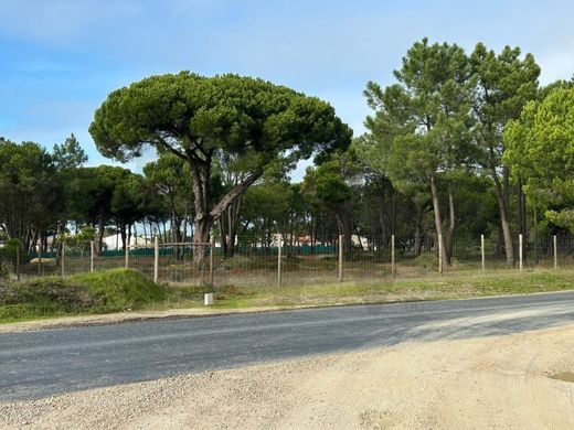 토지 / Sesimbra, Distrito de Setúbal