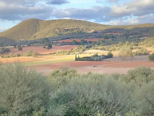 Manacor, Illes Balearsの土地