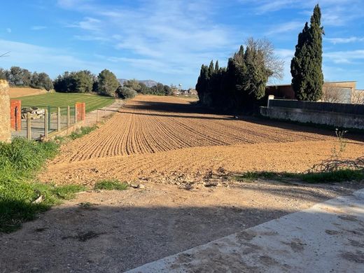 Teren w Foixà, Província de Girona