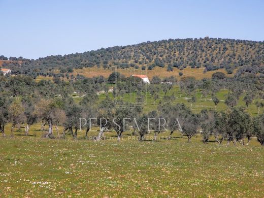 Boerderij in Alter do Chão, Distrito de Portalegre
