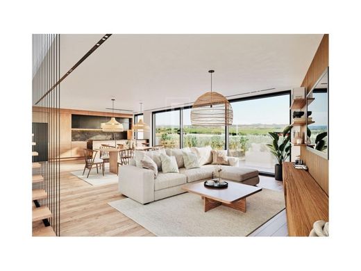 Daire Vagos, Distrito de Aveiro