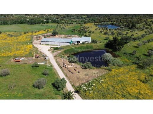 Luxus-Haus in Castelo Branco, Distrito de Castelo Branco
