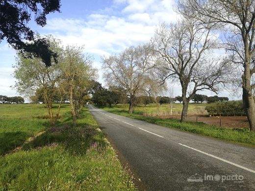 Farma w Ferreira do Alentejo, Distrito de Beja