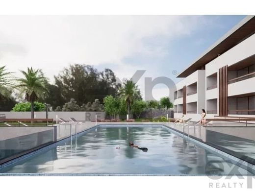 아파트 / Funchal, Madeira