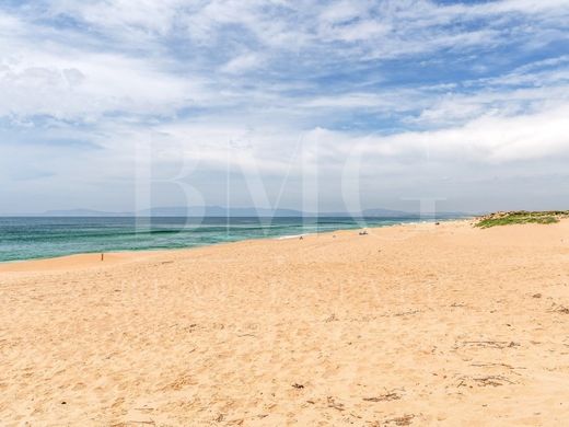 Terrain à Grândola, Distrito de Setúbal