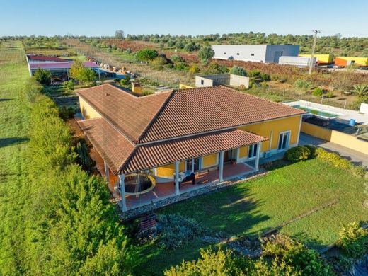 Luxus-Haus in Santarém, Distrito de Santarém