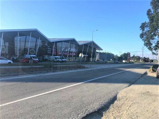 Terrain à Estarreja, Distrito de Aveiro