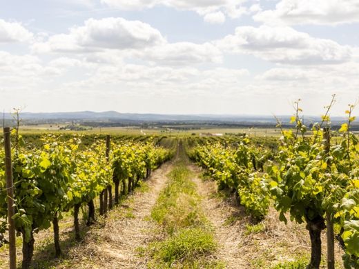 Boerderij in Estremoz, Distrito de Évora