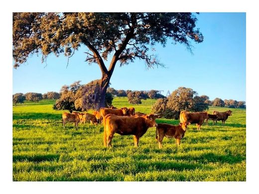 Landhaus / Bauernhof in Villafranca de los Barros, Badajoz