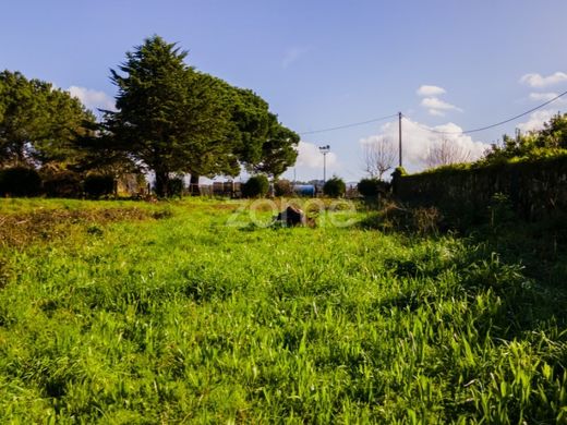 토지 / Esposende1, Esposende