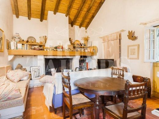 Maison de luxe à Azambuja, Lisbonne