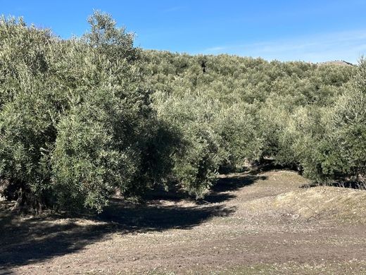 Villa à Jaén, Jaen