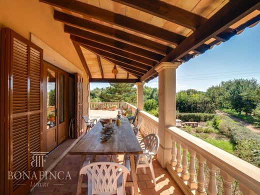 パルマ・デ・マリョルカ, Illes Balearsの高級住宅