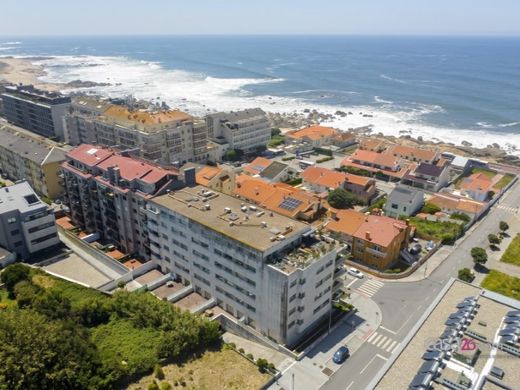Daire Vila Nova de Gaia, Distrito do Porto