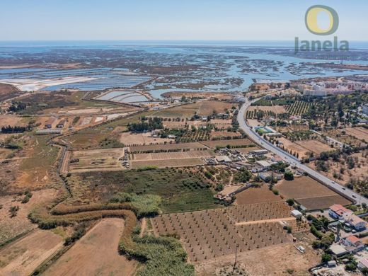 Farm in Faro, Distrito de Faro