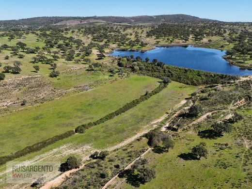 Rustykalny lub Wiejski w Castelo Branco, Distrito de Castelo Branco